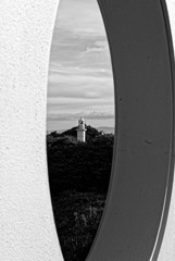 in the castle of rose #116