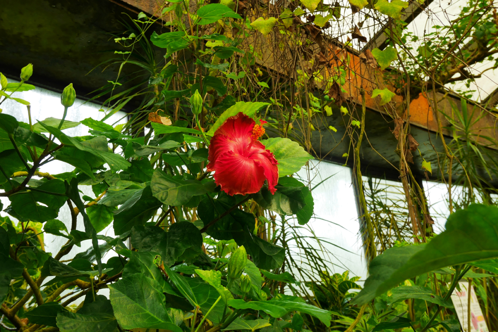 saturated colors　#01