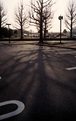 FLASH FUJICA #5