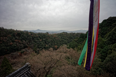 Kyoto Trip Snap #76