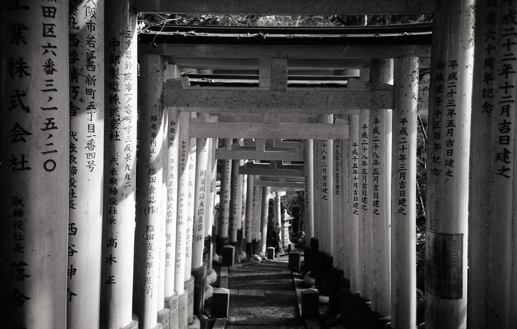 Ricoh R1 #18