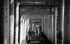 Ricoh R1 #18