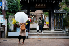 Kyoto Trip Snap #86