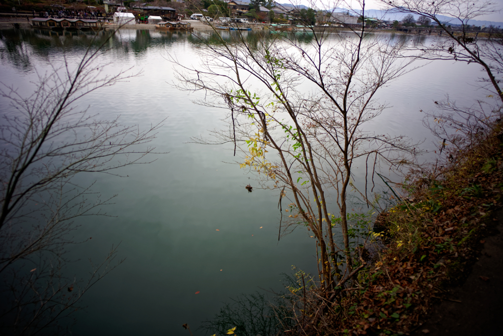 Kyoto Trip Snap #74
