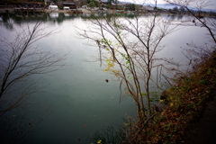 Kyoto Trip Snap #74