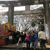 a spring day in the Ueno #15