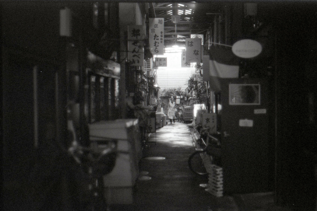lomo LADY GREY #23