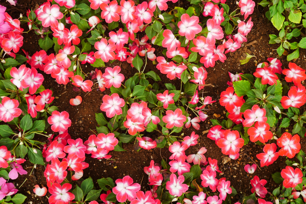 saturated colors　#13
