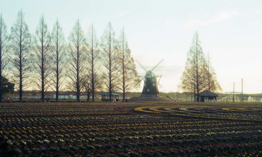 yashica35 #7