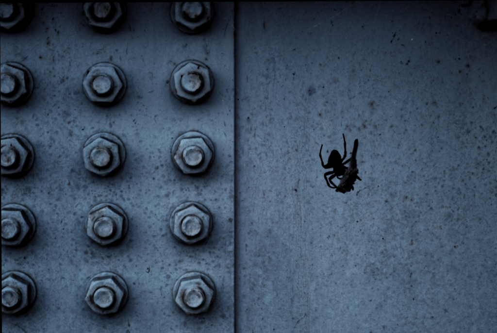 とある夏の夕刻 #2