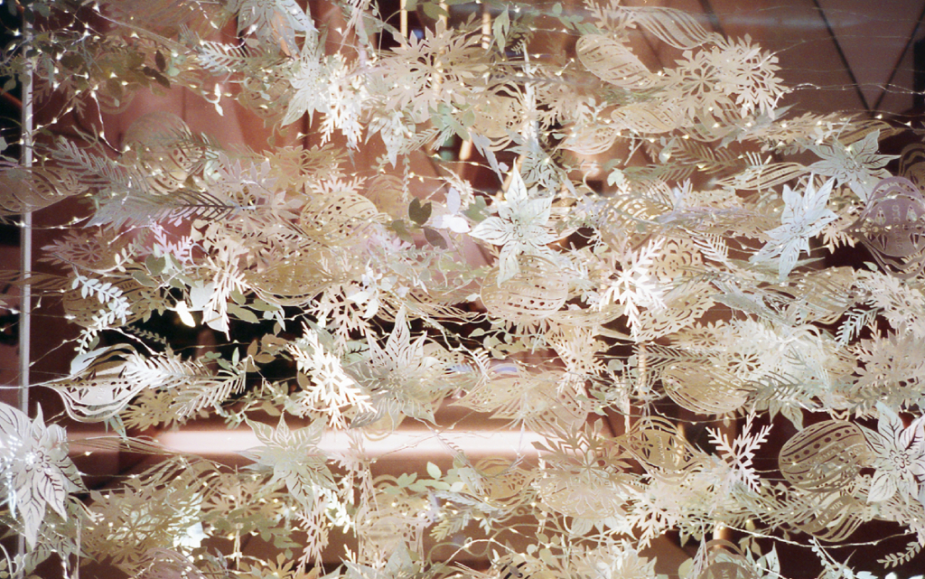 Ricoh R1 #21