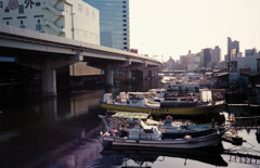 子安 #2