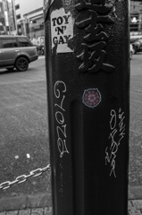 shibuya winter photos 2012 #4