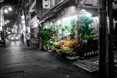 harajuku candy pop #9
