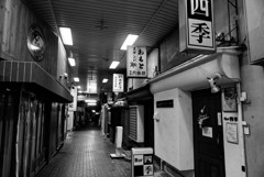 Kyoto Trip Snap #2