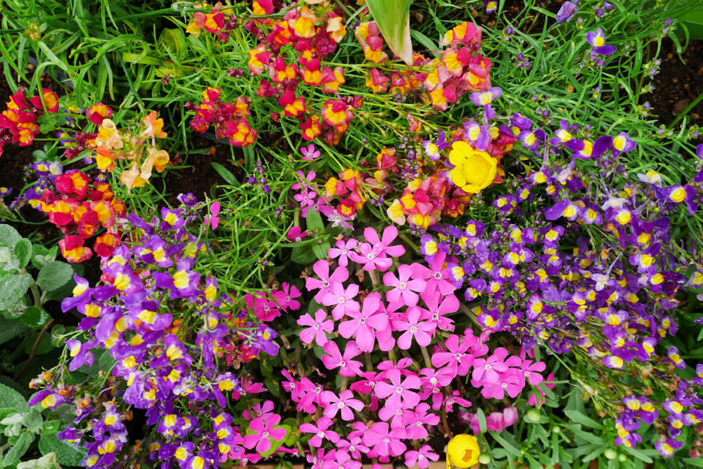 saturated colors　#14