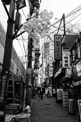 Shinjuku Hi-Fi #3