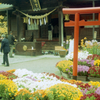 yashica35 #3