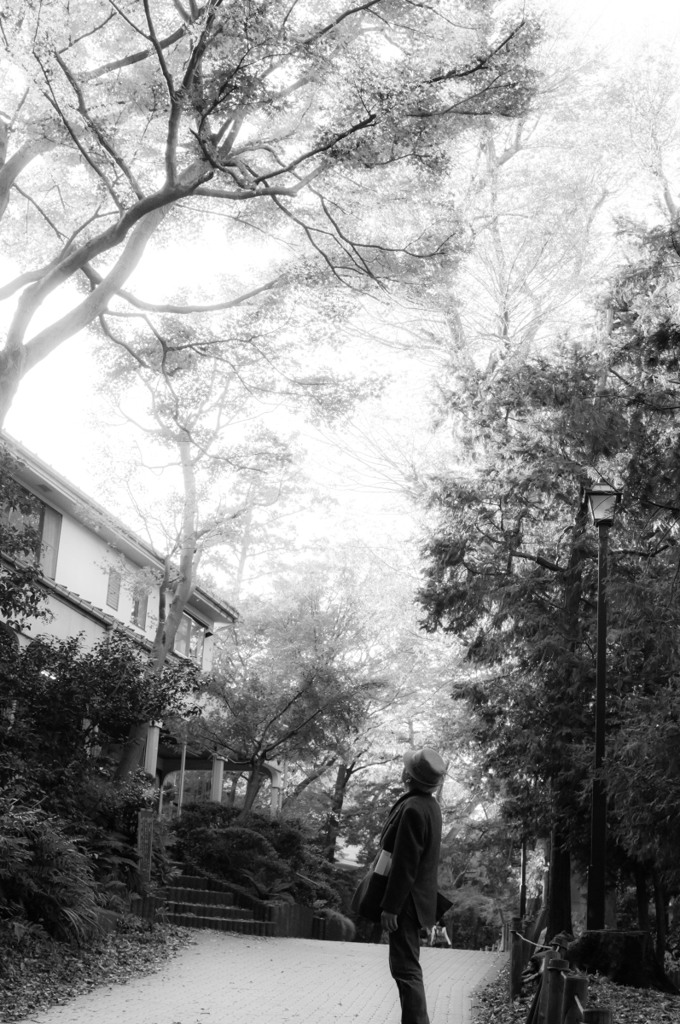 Memories of Kichijyoji　#15