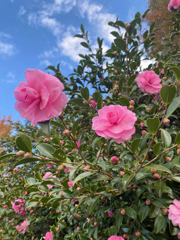 開店までの時間、公園で過ごす。 #2