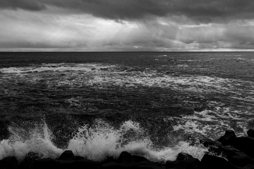 in the castle of rose #180