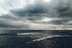 in the castle of rose #179