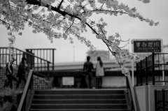 Asakusa camera #52