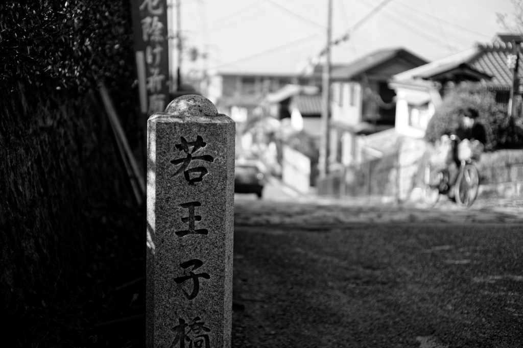 Kyoto Trip Snap #114