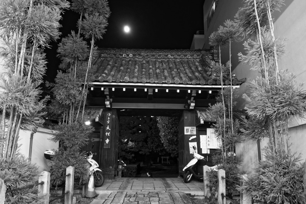 Kyoto Trip Snap #35