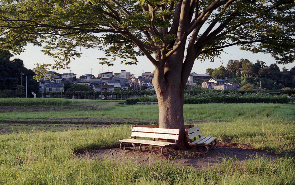 とある夏の夕刻  ＃9