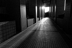 新宿副都心 #06