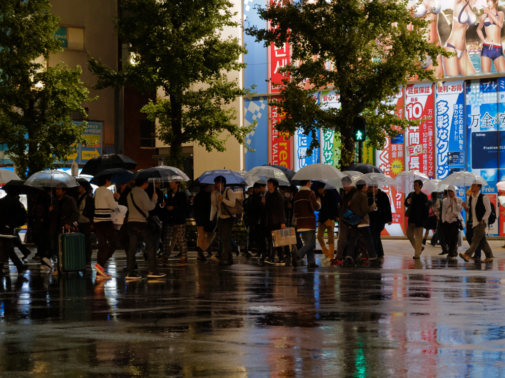 Akihabara high reflectance #3