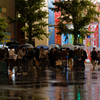 Akihabara high reflectance #3