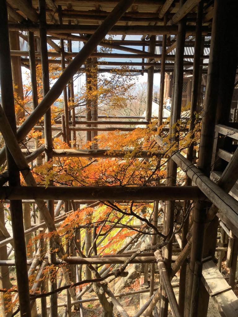 Kyoto Trip Snap #10