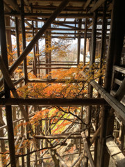 Kyoto Trip Snap #10