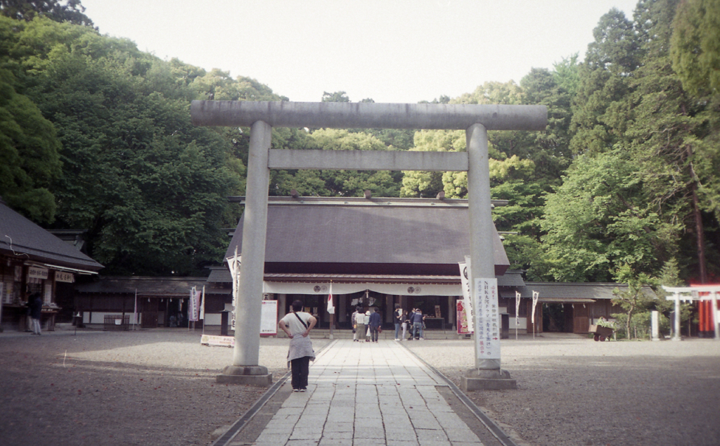 Rollei Flash 35 #12