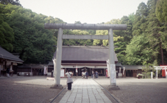 Rollei Flash 35 #12