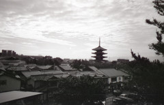 Ricoh R1 #11