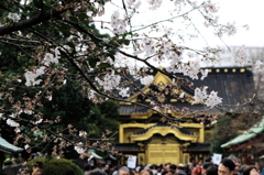 a spring day in the Ueno #18