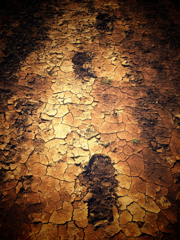 大地のテキスタイル