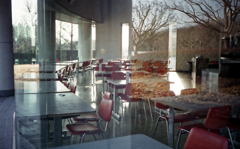 FLASH FUJICA #7