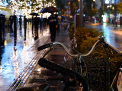 Akihabara high reflectance #12