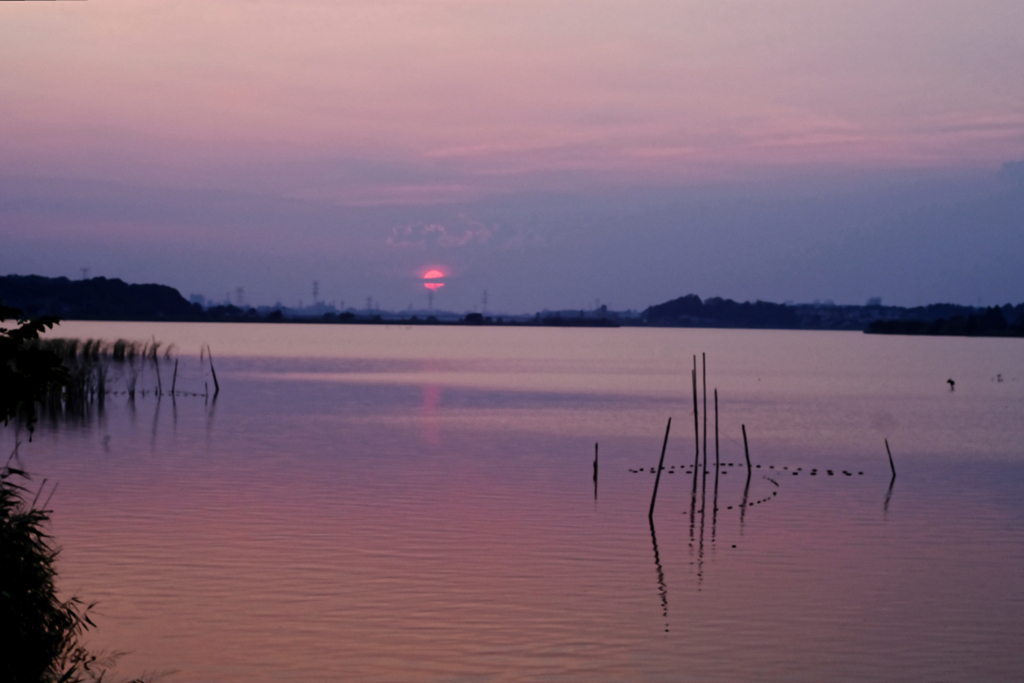 とある夏の夕刻 #3