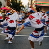 Vibrant Dancer #17