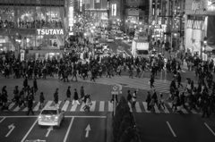 shibuya winter photos 2012 #14