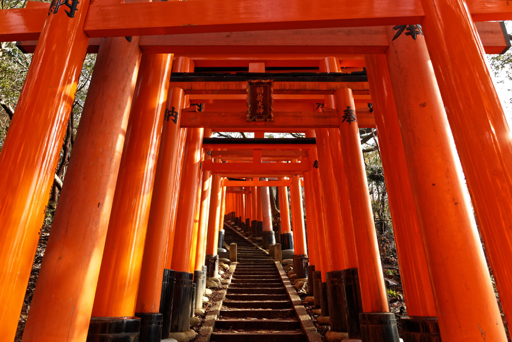 Kyoto Trip Snap #27