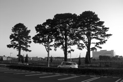 ON THE ROAD #15