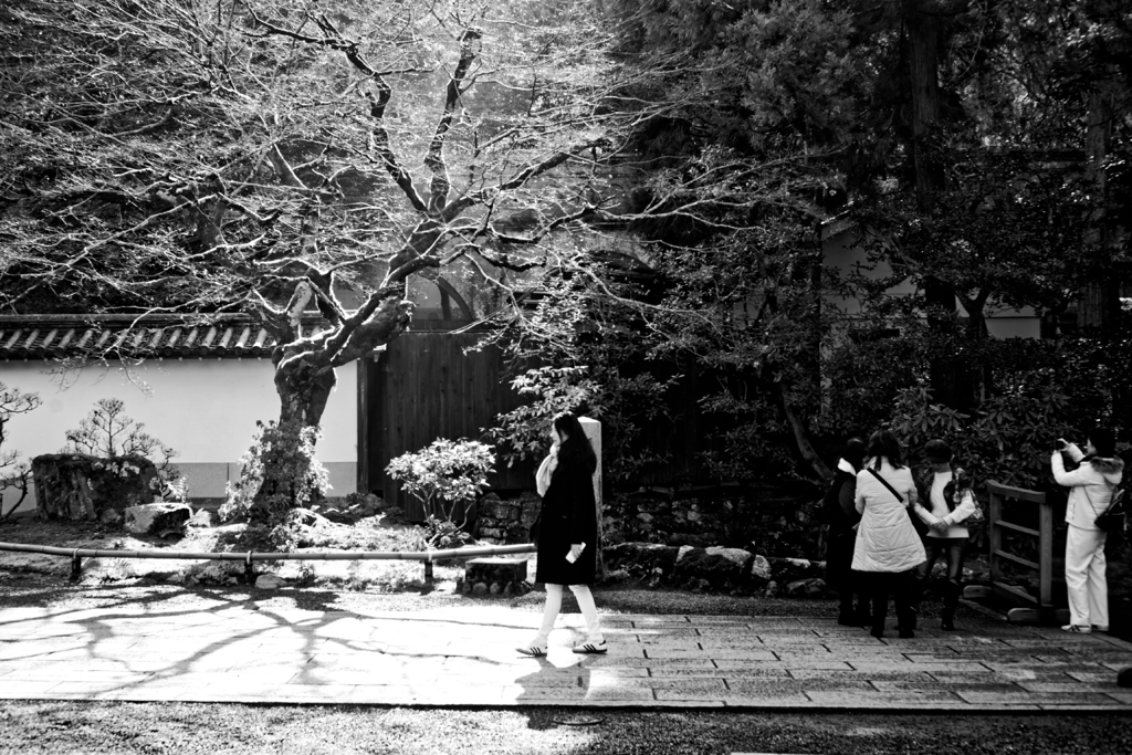 Kyoto Trip Snap #115