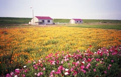 CARDIA travel mini Ⅱ #03