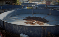 ジャーニーコニカ #8